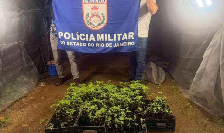 Duas mulheres são presas com 190 pés de maconha em Angra dos Reis