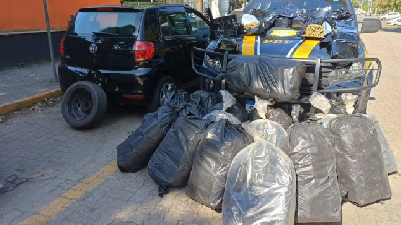 Homem é preso com 100 kg de maconha após perseguição na Dutra, em Resende