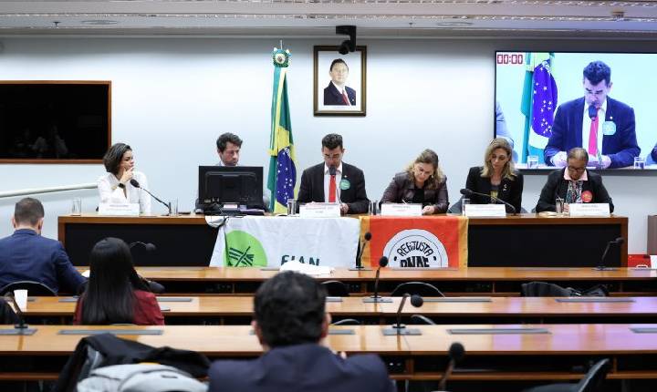 Participantes de audiência defendem reajuste anual automático para verba da merenda escolar