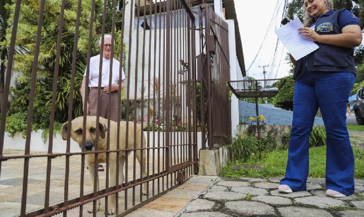 Pinheiral implanta Censo Animal para fortalecer políticas de bem-estar