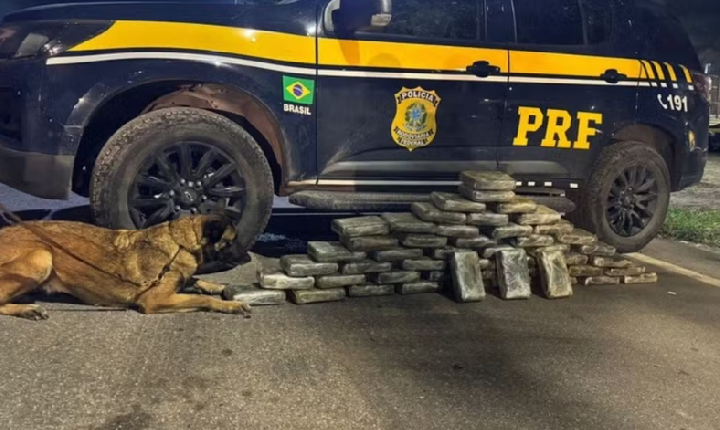 PRF apreende cerca de 50 kg de maconha na Via Dutra, em Piraí