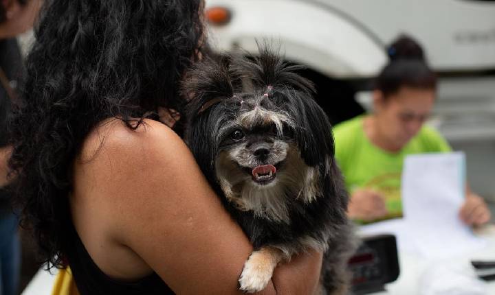 Volta Redonda abre mais 260 vagas para castração gratuita de cães e gatos em parceria com a FAA