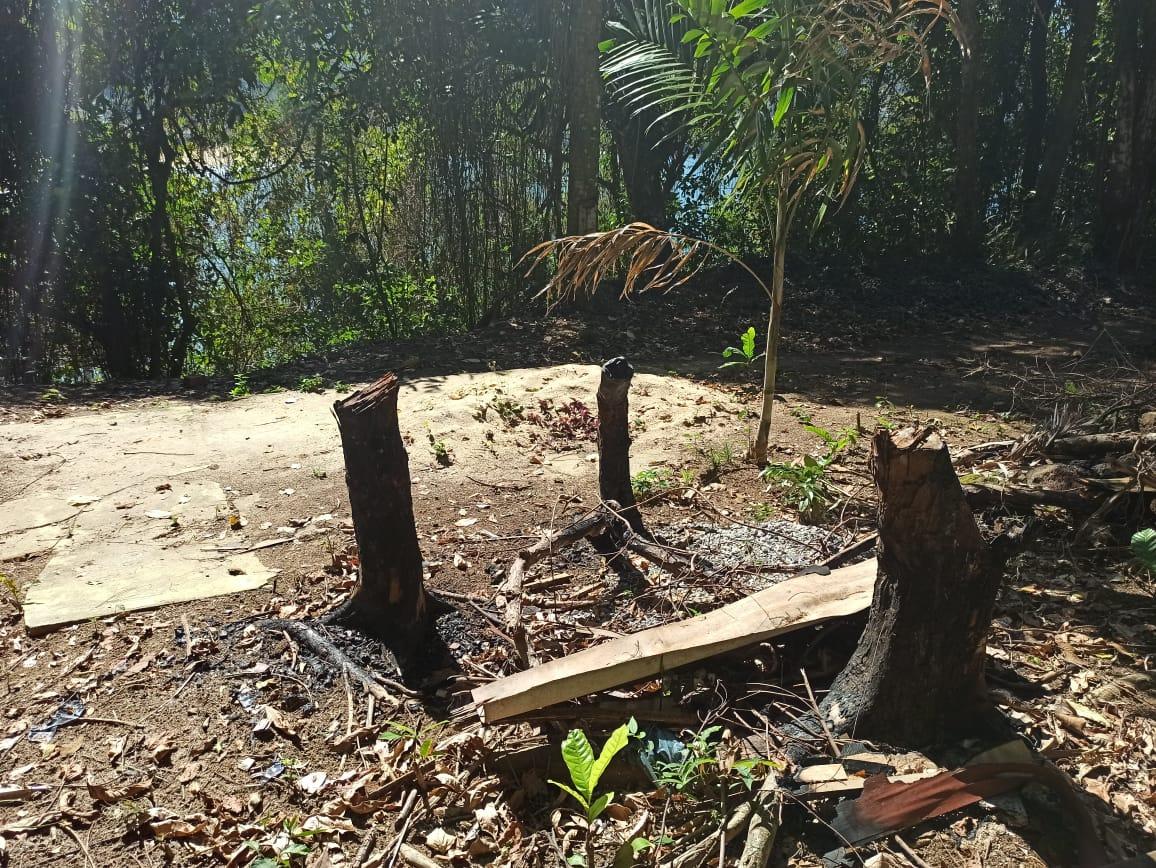 Angra dos Reis: Denúncia leva a desmatamento em área de preservação ambiental