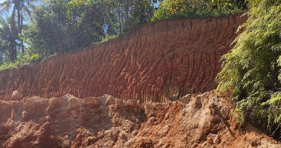 Denúncias levam a mais um crime ambiental em Angra dos Reis