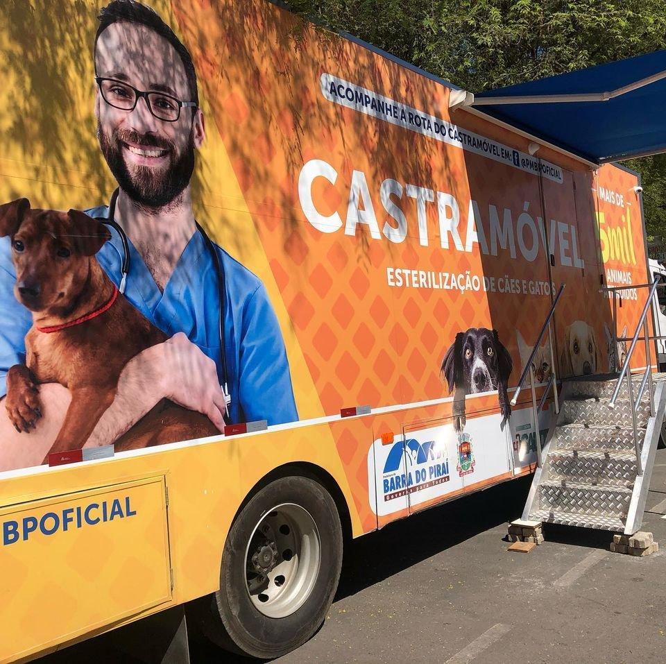 Conheça o Castramóvel, projeto que zela pelo bem-estar animal