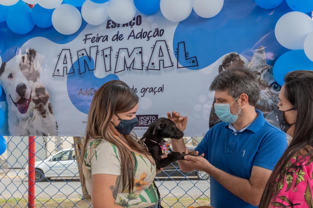 I Feira de adoção de animais realizada em Porto Real registra resultado positivo