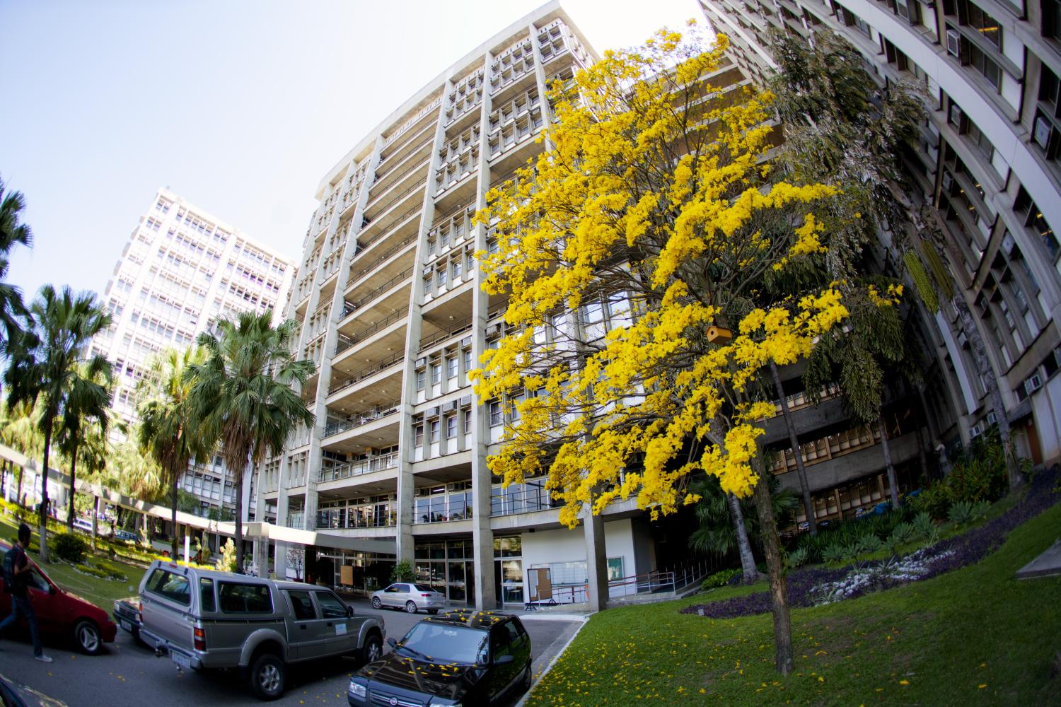 Nova reitora da Uerj quer garantir autonomia para a instituição