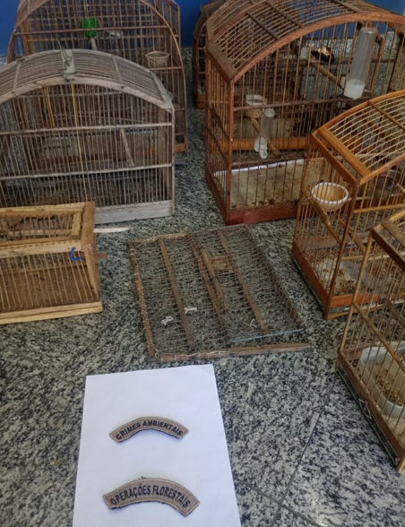 Quatis: Grupamento Ambiental apreende pássaros silvestres e materiais de caça ilegal após denúncia