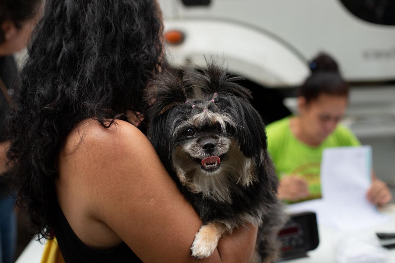Volta Redonda abre mais 260 vagas para castração gratuita de cães e gatos em parceria com a FAA