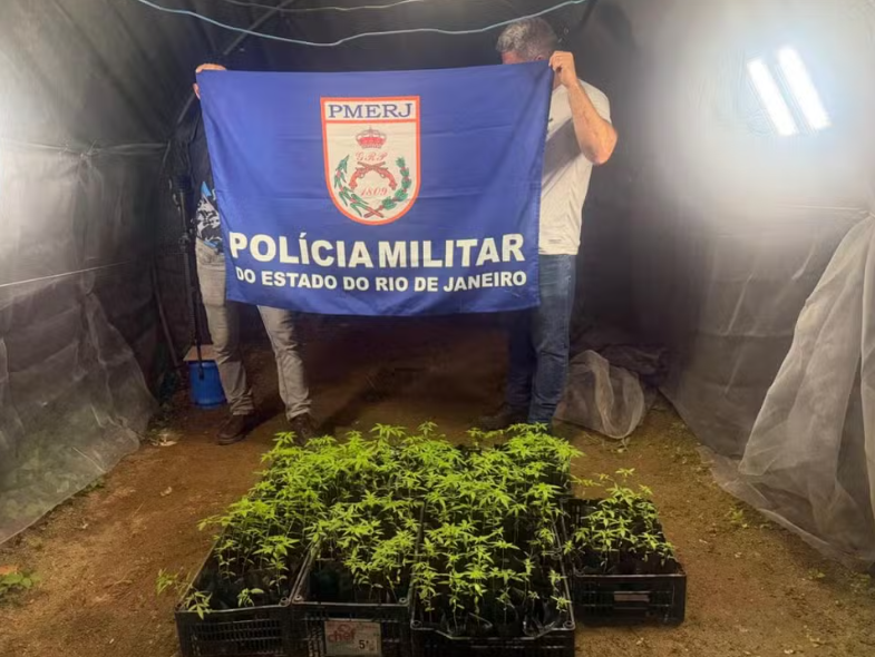 Duas mulheres são presas com 190 pés de maconha em Angra dos Reis