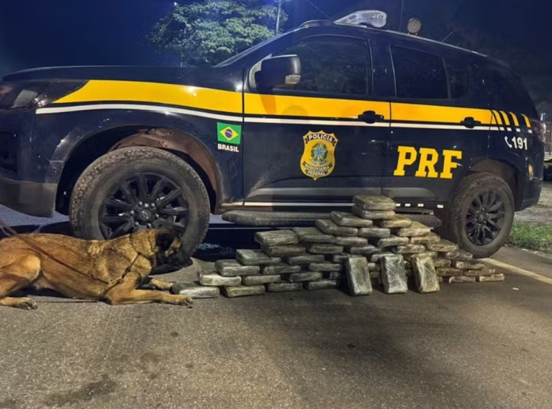 PRF apreende cerca de 50 kg de maconha na Via Dutra, em Piraí