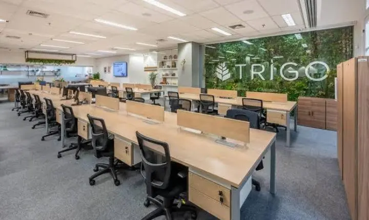 Grupo Trigo abre mais de 70 vagas de emprego no Rio de Janeiro 